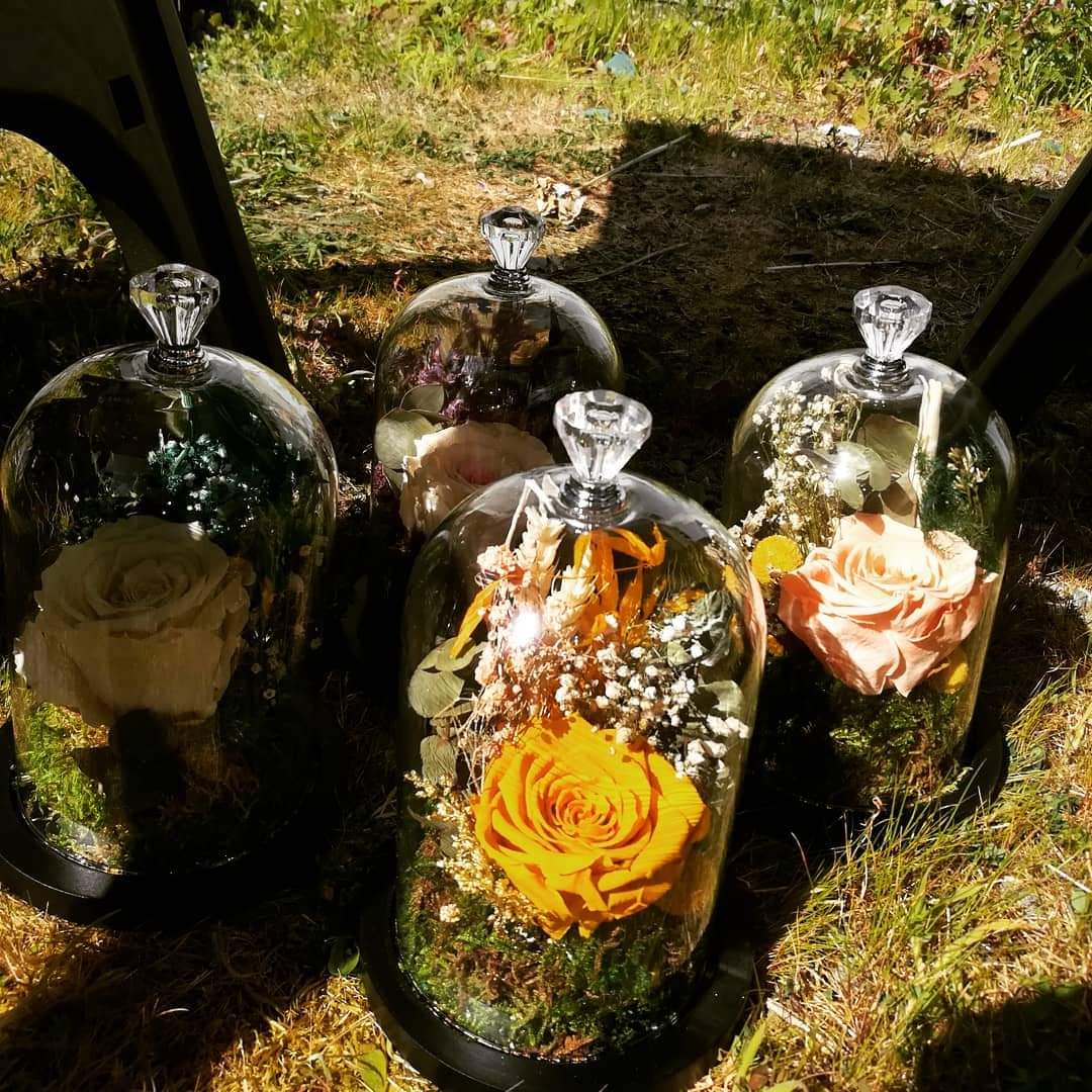 cloche-seche1