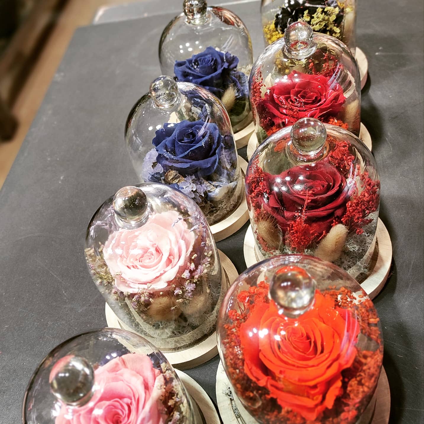 cloches-seches3